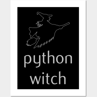 Python Programming Witch Posters and Art